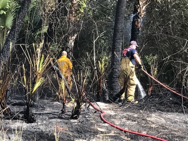 Gatlin Brush Fire